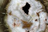 Crystal Filled Petrified Wood (Woodworthia) Round - Zimbabwe #167906-1
